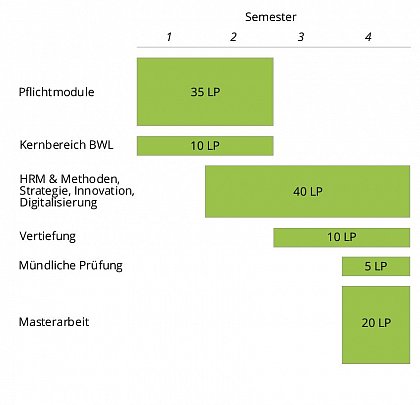Ablaufplan MSc HRM