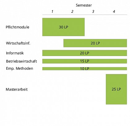 Ablaufplan MSc WI