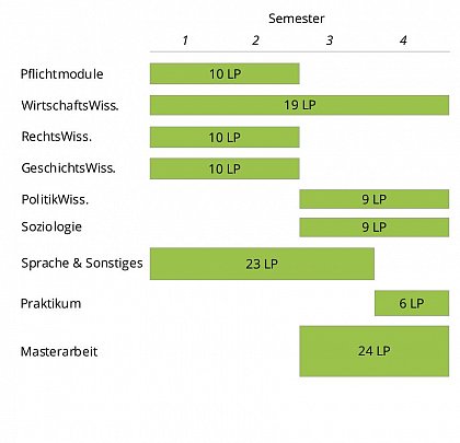 Ablaufplan MSc EIW