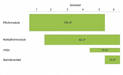 Ablauf BSc Wirtschaftsinformatik